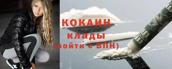 крисы Баксан