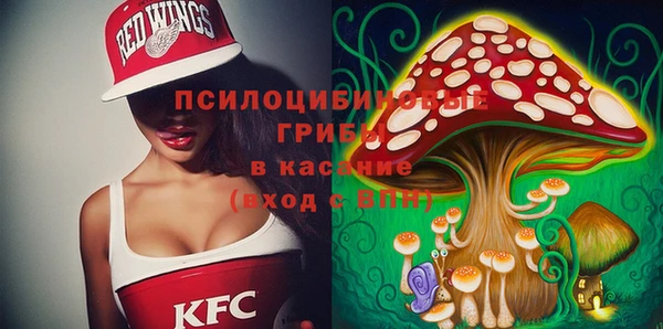 крисы Баксан