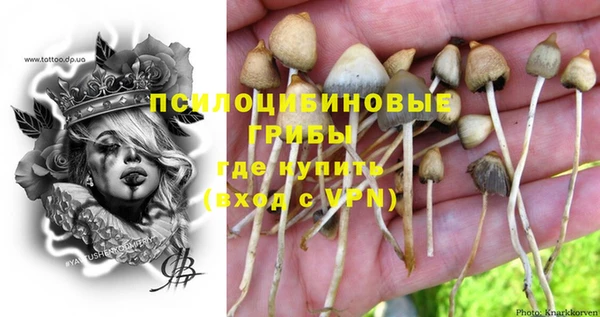 крисы Баксан